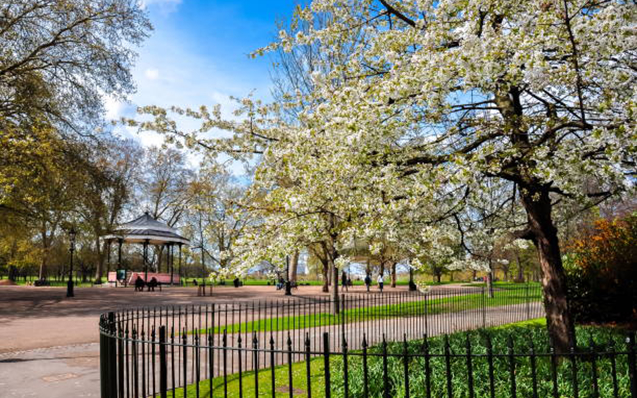 Spring in Hyde park, London, UK