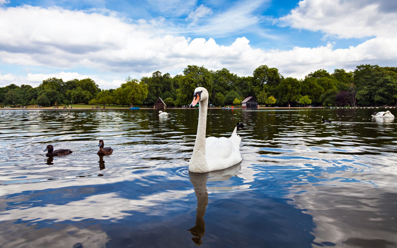 london-hyde-park